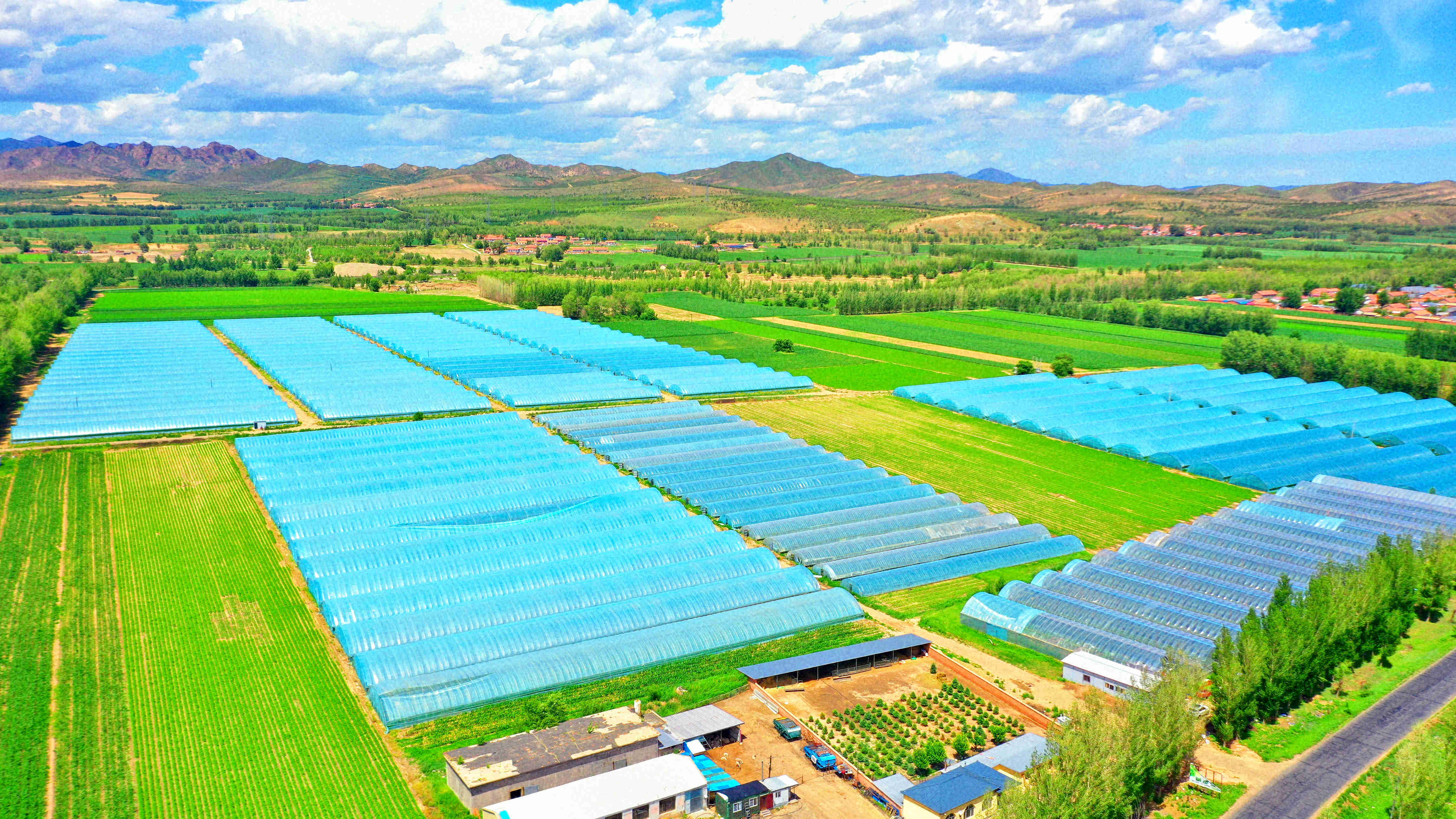 (来源:大营子乡人民政府)特色产业"厚植"幸福生活经济底气以前在土