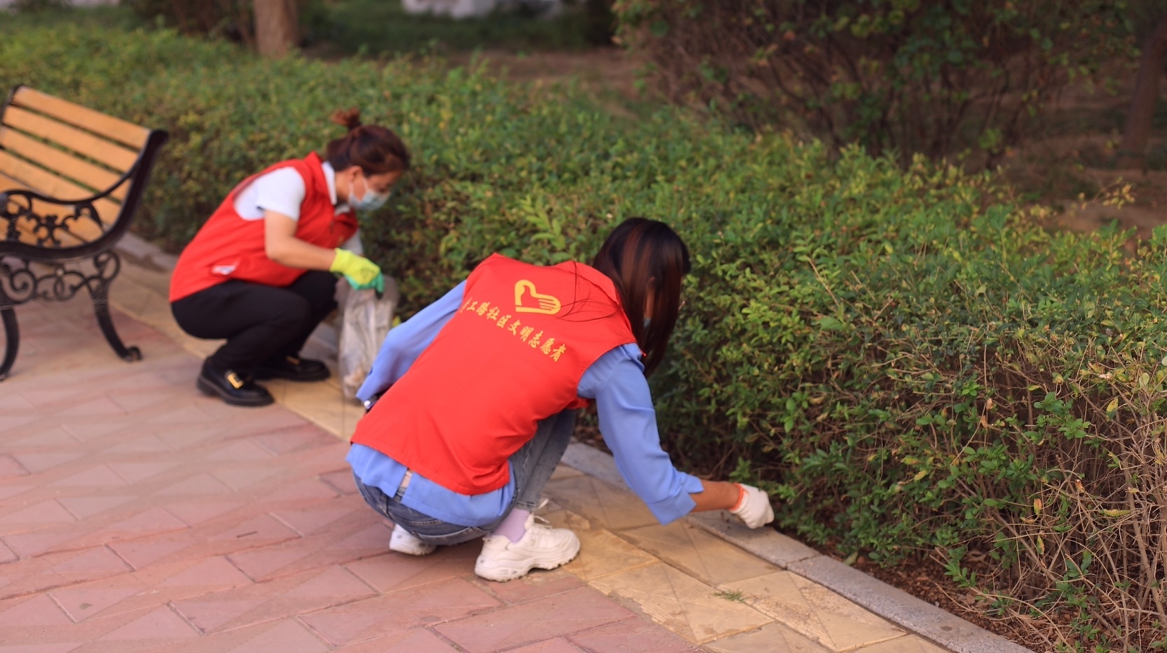 包头稀土高新区志愿服务为人居环境增绿添彩