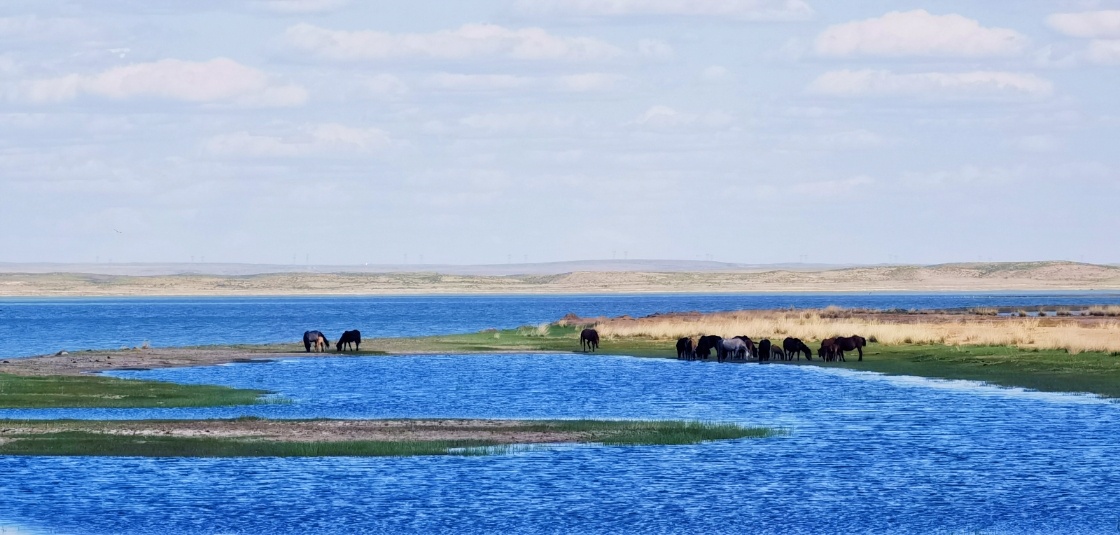 内蒙古查干淖尔湖图片